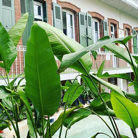 Apartamento Appt Ambiance Chalet 2Ch Piscine Lagon Tarbes Exterior foto
