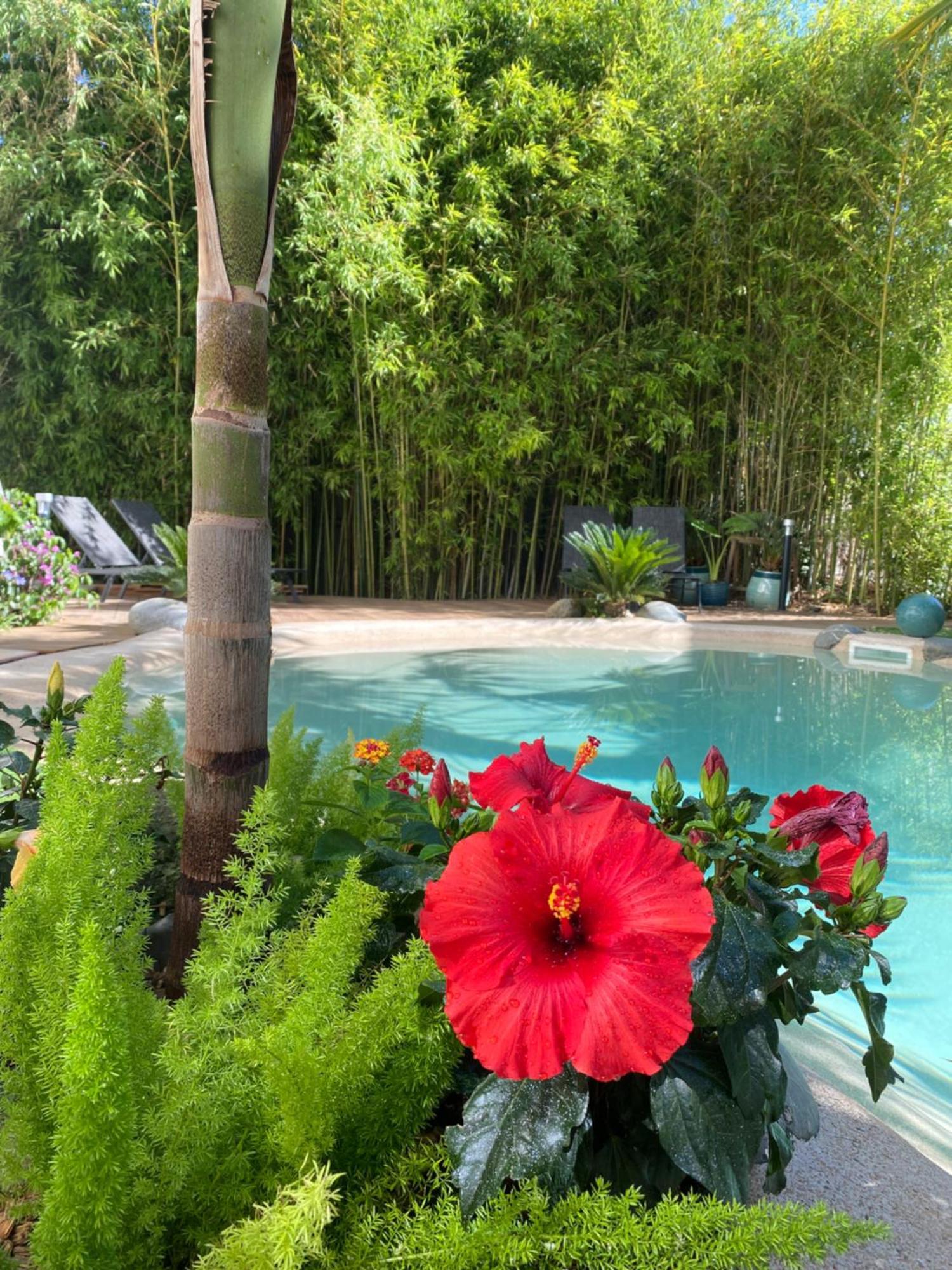 Apartamento Appt Ambiance Chalet 2Ch Piscine Lagon Tarbes Exterior foto